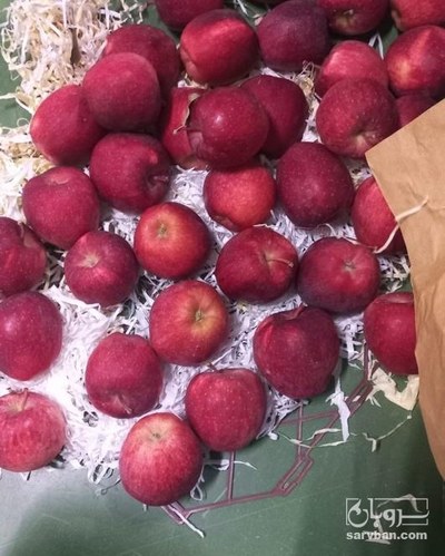 فروش سیب قرمز