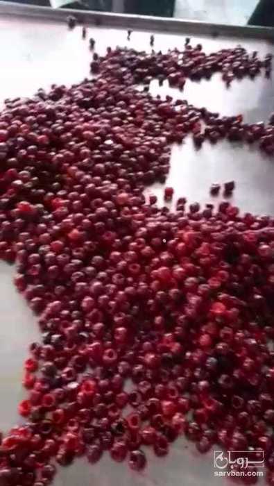 فروش آلبالو