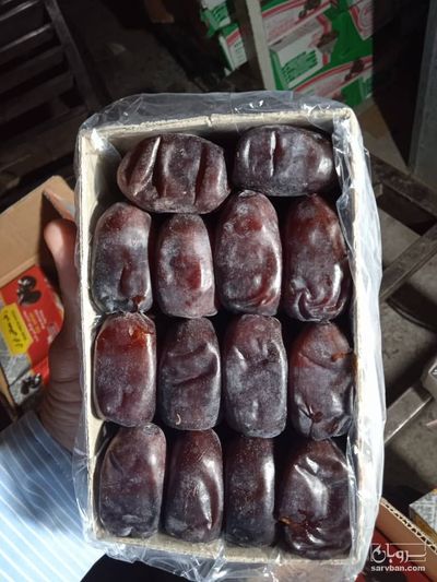 فروش خرما مضافتی