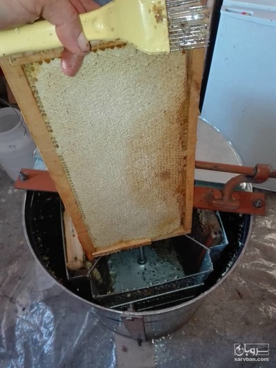 فروش انواع عسل