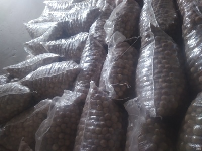 فروش لیموخشک درجه یک