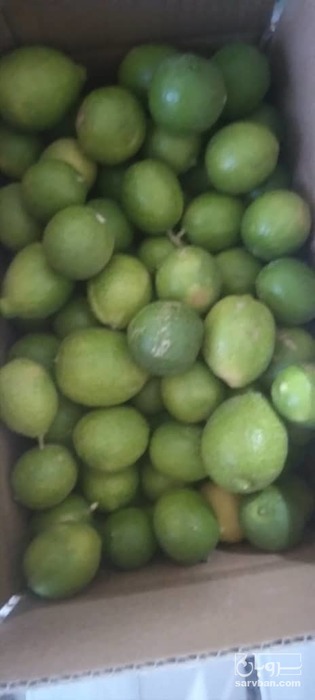 فروش لیموترش