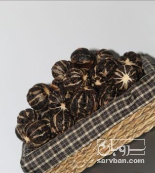 فروش لیمو عمانی ببری