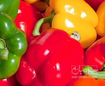 فروش فلفل دلمه ای رنگی