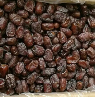فروش خرما کلوته