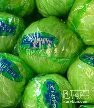 فروش کاهوایسبرگ