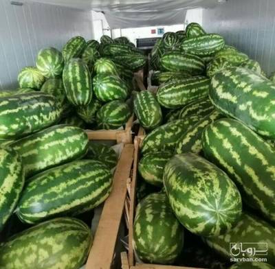 فروش هندوانه