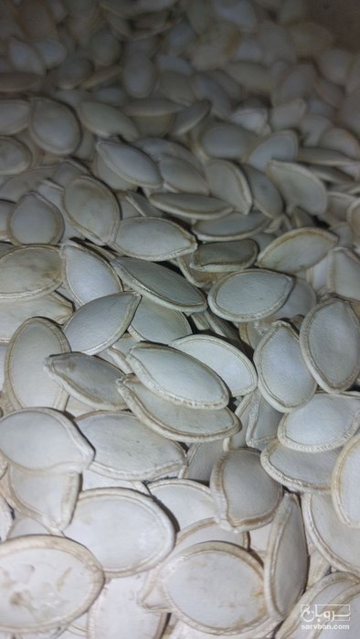 فروش تخمه  کدو بو داده