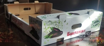 فروش کارتن  حمل و نقل محصولات