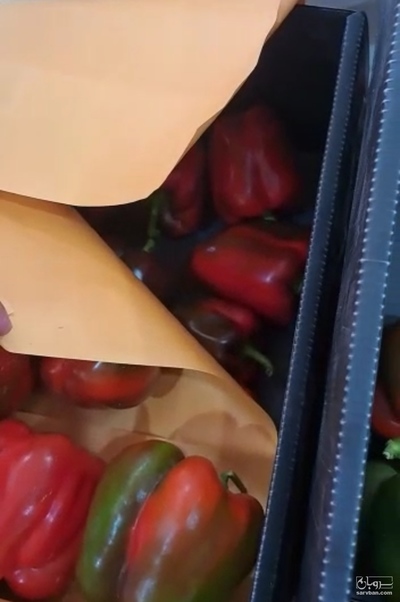 فروش فلفل دلمه ای رنگی