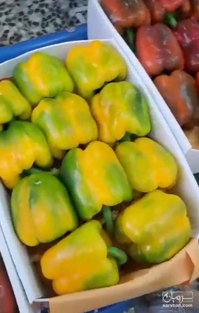 فروش فلفل دلمه ای رنگی