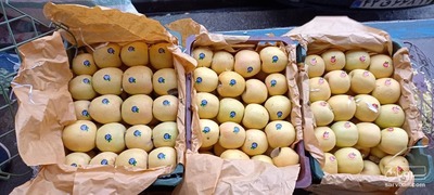 فروش سیب زرد