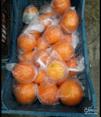 فروش پرتقال