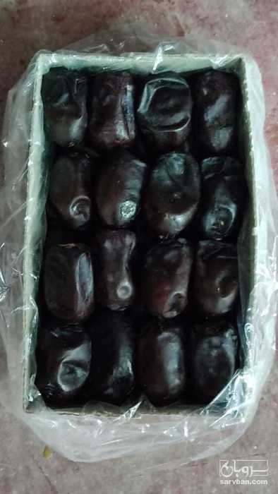 فروش خرما مضافتی