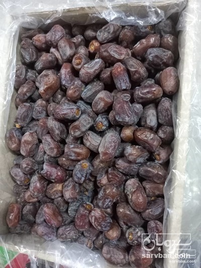 فروش خرما کلوته