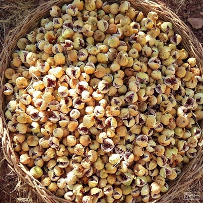 فروش انجیر خشک