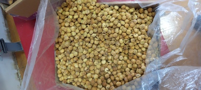 انجیر سایزA