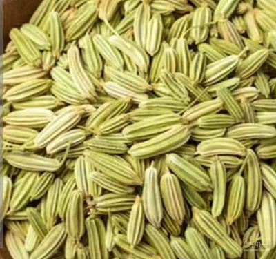 فروش رازیانه