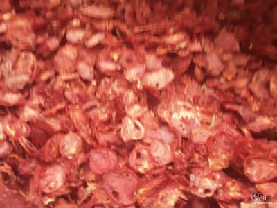 فروش گوجه خشک