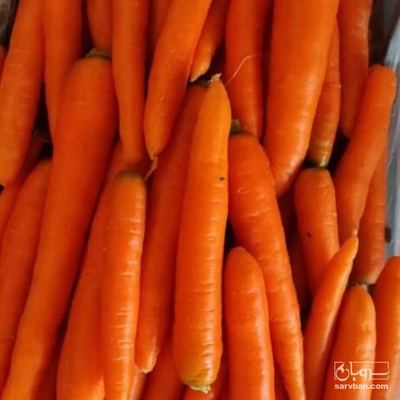 فروش هویج  در بسته بندی گونی