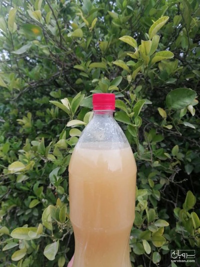 فروش آبلیمو