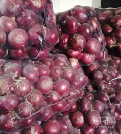 فروش پیاز قرمز تازه