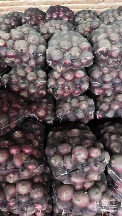 فروش پیاز قرمز