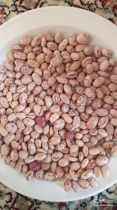 فروش لوبیا چیتی