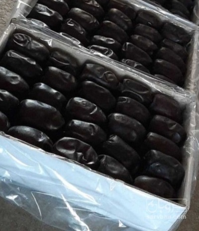 فروش خرما مضافتی