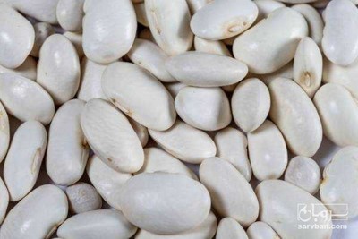 فروش لوبیا سفید