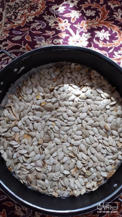 فروش تخم کدو