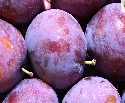 فروش آلو کالیفرنیا