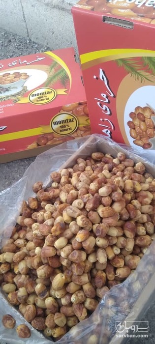 فروش خرمازاهدی