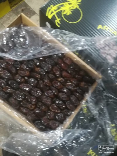 فروش خرما کبکاب