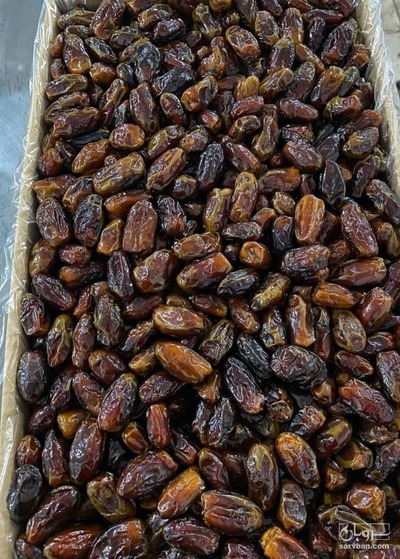 فروش خرما شاوی