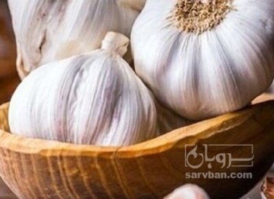 فروش سیر