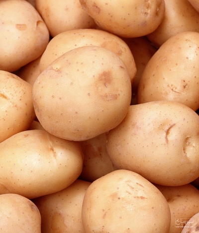 فروش سیب زمینی