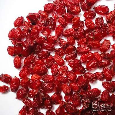خرید زرشک دونه اناری