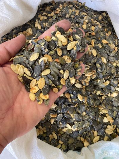 فروش تخمه  کدو