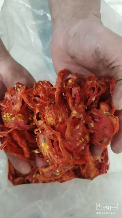 فروش گوجه خشک