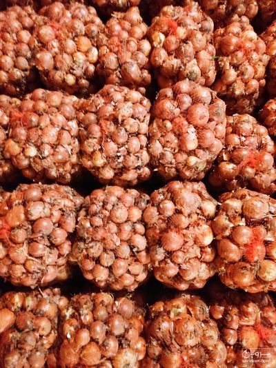 فروش پیاز زرد