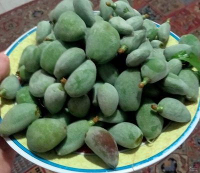 فروش چغاله بادام | سروبان