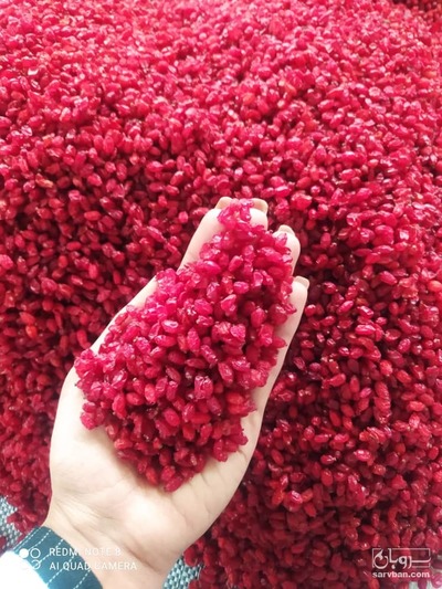 فروش زرشک پفکی