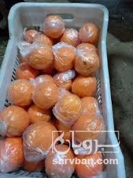 فروش پرتقال