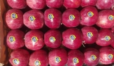 فروش سیب قرمز