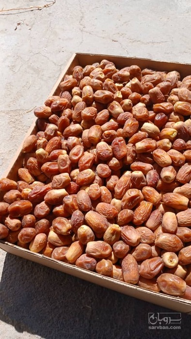فروش خرمای زاهد