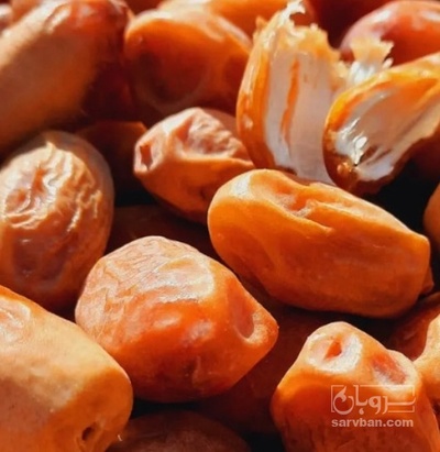 فروش خرما زاهدی