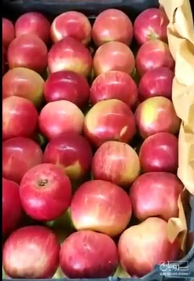 فروش سیب عروس