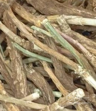 فروش کاسنی (گیاه‌ دارویی)