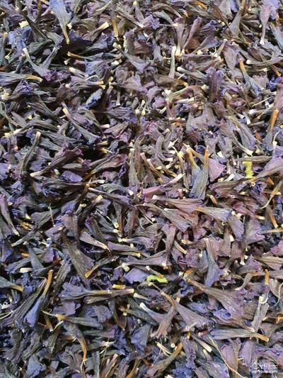 فروش گاو زبان